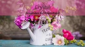  Presentation with pink flowers - Cool new slides with bouquet-of-pink-flowers backdrop and a coral colored foreground