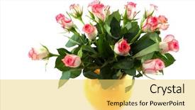  Presentation with pink roses - Slide deck with bouquet of pink roses in yellow vase on white background background and a yellow colored foreground