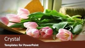  Presentation with pink black - Colorful PPT theme enhanced with bouquet of pink tulips on wrapping paper over black wooden windowsill backdrop and a tawny brown colored foreground