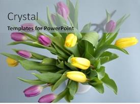 Bouquet Of Purple And Yellow PPT template 93 | CrystalGraphics