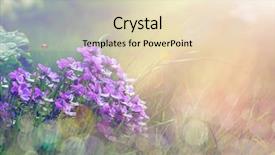  Presentation with purple flowers - Amazing PPT theme having bouquet of purple flowers backdrop and a lemonade colored foreground