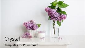  Presentation with purple spring - Amazing presentation having bouquet of purple lilac spring backdrop and a light gray colored foreground