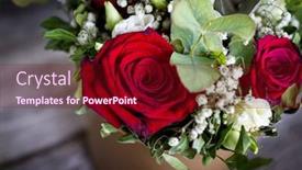  Presentation with anniversary - Amazing presentation theme having bouquet-of-red-and-white backdrop and a wine colored foreground