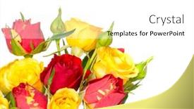  Presentation with roses - Cool new presentation theme with chickpeas with chorizo in a clay bowl on the table close-up backdrop and a tawny brown colored foreground