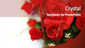  Presentation with red and white rose petals - Presentation theme having bouquet of red roses isolated background and a crimson colored foreground