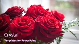  Presentation with roses - Slides having bouquet-of-red-roses background and a wine colored foreground