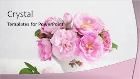  Presentation with light roses - Amazing slide set having bouquet-of-small-light-pink backdrop and a white colored foreground
