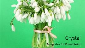  Presentation with snowdrop - Cool new slide set with bouquet of snowdrop flowers backdrop and a seafoam green colored foreground