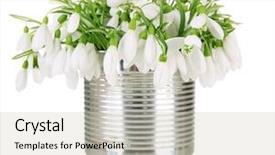  Presentation with snowdrop - Slide set featuring old ornamental paper background for the design background and a lemonade colored foreground