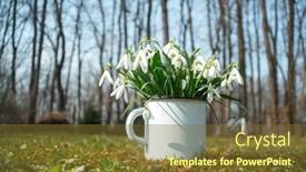  Presentation with iron - Cool new theme with bouquet-of-snowdrops backdrop and a tawny brown colored foreground