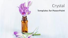  Presentation with spring - PPT theme with bouquet-of-spring-crocuses background and a sky blue colored foreground
