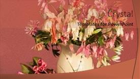  Presentation with spring - Audience pleasing PPT layouts consisting of bouquet-of-spring-flowers backdrop and a  colored foreground