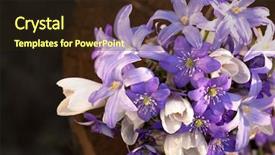  Presentation with spring - Slides with bouquet-of-spring-flowers background and a wine colored foreground