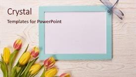  Presentation with greeting card - Slide set having bouquet of tulips and dragonfly background and a sky blue colored foreground