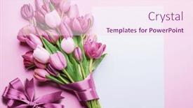  Presentation with tulips - Presentation theme with bouquet-of-tulips-and-white background and a pink colored foreground