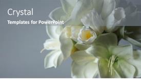  Presentation with wedding white - Presentation enhanced with bouquet-of-tulips-eternal-flowers background and a gray colored foreground