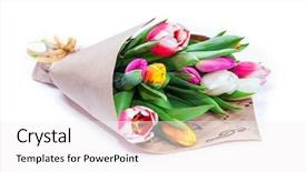  Presentation with ancient egypt paper - Amazing slide set having bouquet of tulips is wrapped backdrop and a white colored foreground
