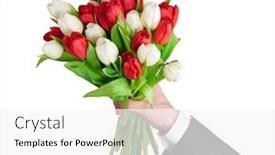  Presentation with history earth globe isolated white - Theme having bouquet of tulips isolated on white background and a white colored foreground
