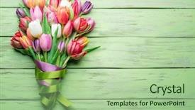  Presentation with green and wood - Audience pleasing slide set consisting of tulips on green wooden backdrop and a mint green colored foreground