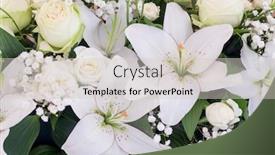  Presentation with roses - Colorful presentation enhanced with bouquet-of-white-lilies backdrop and a soft green colored foreground