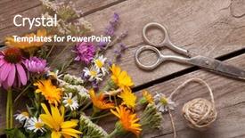  Presentation with flowers - Audience pleasing presentation design consisting of bouquet of wild flowers scissors backdrop and a coral colored foreground