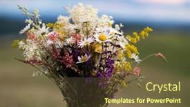  Presentation with wild flower in field of daisies - Audience pleasing presentation consisting of bouquet-of-wild-flowers backdrop and a tawny brown colored foreground