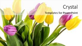  Presentation with new orleans yellow and purple - Cool new slide deck with bouquet of yellow and purple backdrop and a white colored foreground