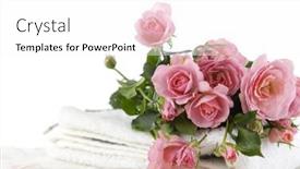  Presentation with watercolor soft pastel - Cool new theme with bouquet-rose-on-soft-towel backdrop and a white colored foreground