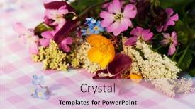  Presentation with forget - Presentation featuring bouquet-wild-flowers-with-forget background and a lemonade colored foreground