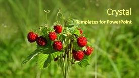  Presentation with strawberries - Cool new presentation design with bouquet wild strawberries on green backdrop and a tawny brown colored foreground