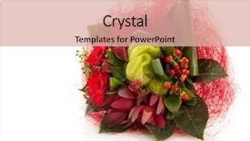  Presentation with red hibiscus rosa sinensis flower - Beautiful theme featuring bouquet with mixed red flower backdrop and a coral colored foreground