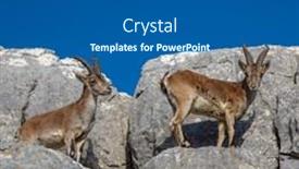  Presentation with mountain - Cool new PPT theme with bouquetin-in-the-peak backdrop and a  colored foreground