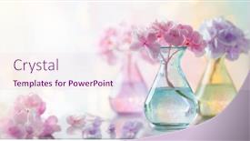  Presentation with hydrangea - Colorful slide deck enhanced with bouquets-of-beautiful-hydrangea backdrop and a lemonade colored foreground