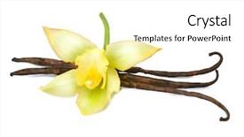  Presentation with bourbon - Colorful presentation theme enhanced with bourbon - vanilla vanilla pods and flower backdrop and a white colored foreground