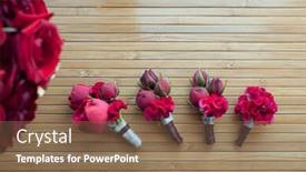  Presentation with peony - Colorful PPT layouts enhanced with boutonniere-with-red-rose backdrop and a violet colored foreground