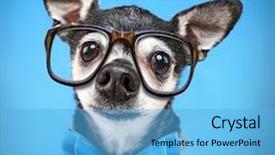  Presentation with wide - Audience pleasing PPT theme consisting of bow tie and reading backdrop and a light blue colored foreground