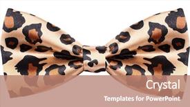  Presentation with animal print - Audience pleasing slide set consisting of bow tie animal print backdrop and a coral colored foreground