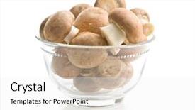  Presentation with oyster mushrooms fresh mushrooms - Colorful presentation theme enhanced with bowl isolated on white background backdrop and a  colored foreground