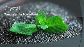  Presentation with mint - PPT theme with bowl-of-chia-seeds background and a gray colored foreground