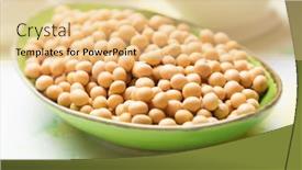  Presentation with dried food - PPT theme having bowl-of-dried-soy-beans background and a lemonade colored foreground