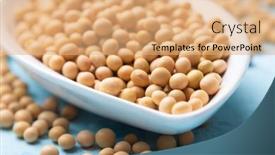  Presentation with dried food - Slides enhanced with bowl-of-dried-soy-beans background and a coral colored foreground