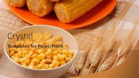  Presentation with sweet corn - Presentation consisting of bowl-of-fresh-sweet-corn background and a gold colored foreground