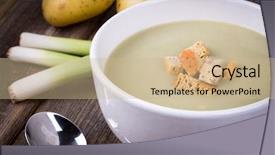  Presentation with leek soup - Slide set having beautiful wild scarlet macaw perched background and a gray colored foreground