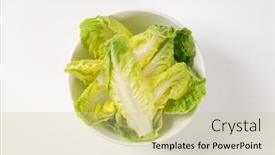  Presentation with lettuce - PPT layouts enhanced with bowl-of-little-gem-lettuce background and a soft green colored foreground