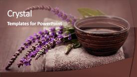  Presentation with water treatment - Beautiful PPT theme featuring bowl of water and fresh backdrop and a  colored foreground