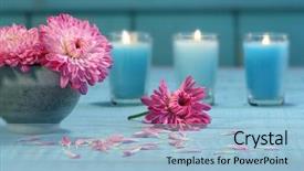  Presentation with chrysanthemum - PPT theme having bowl of water with candles background and a light blue colored foreground
