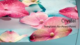  Presentation with bowl - Colorful theme enhanced with red dumbbells weight with measuring tape for diet concept on white background backdrop and a coral colored foreground