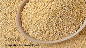  Presentation with quinoa - Presentation theme enhanced with bowl of white quinoa seeds on quinoa background - close up background and a coral colored foreground
