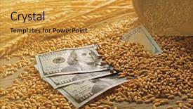  Presentation with grains - PPT layouts featuring bowl on wooden background agricultural background and a yellow colored foreground