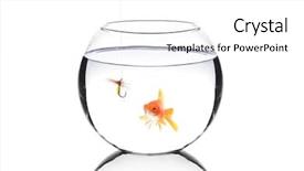  Presentation with fishing - Colorful presentation design enhanced with bowl with a fishing hook backdrop and a white colored foreground